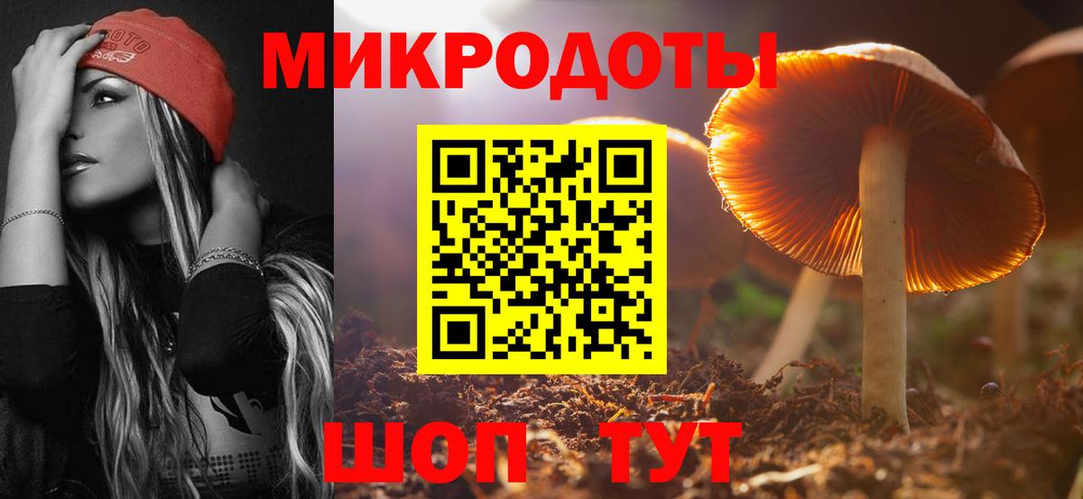 Галлюциногенные грибы Psilocybe Кисловодск